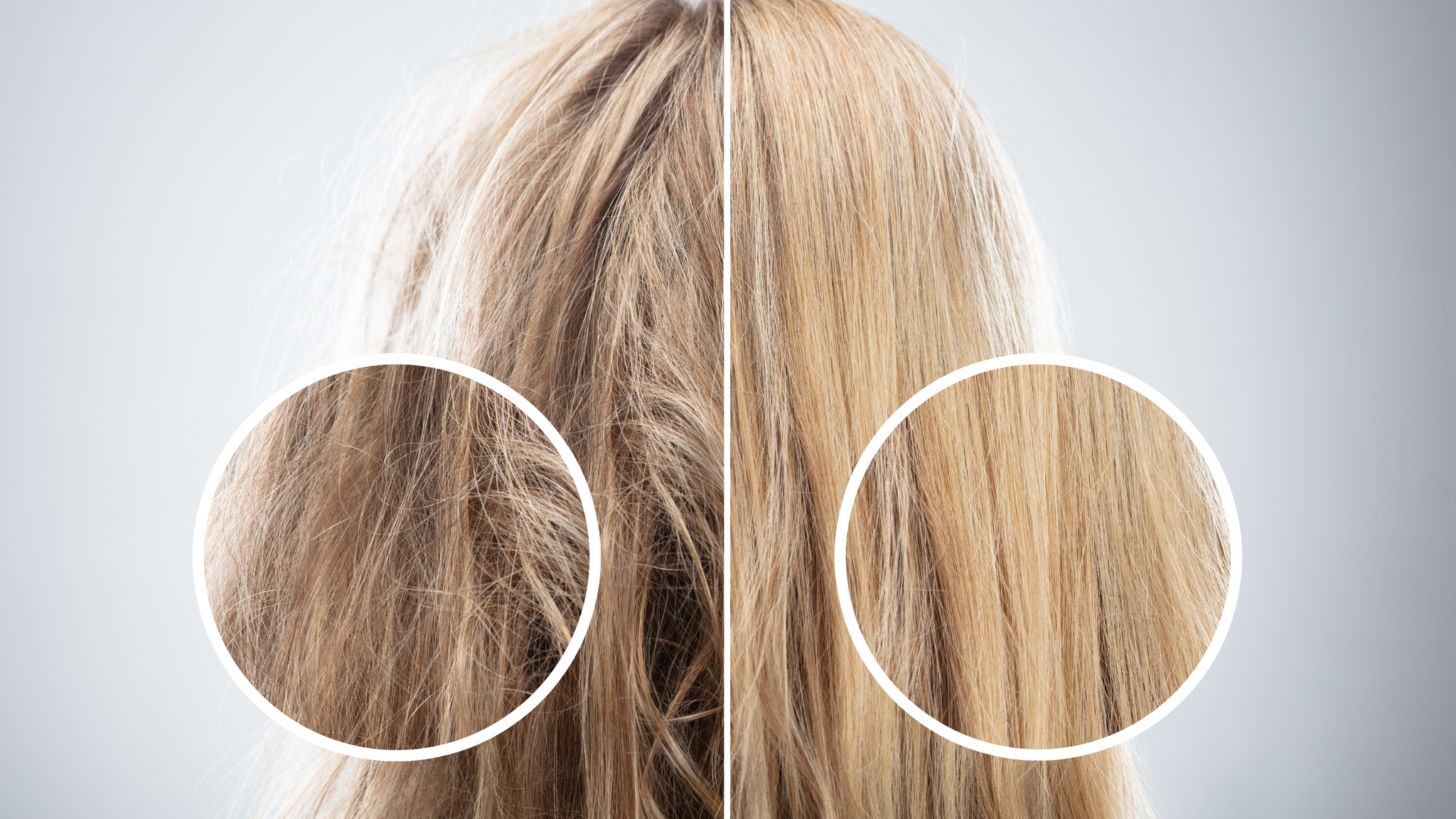 The Ultimate Guide to Hair Porosity & Product Matching